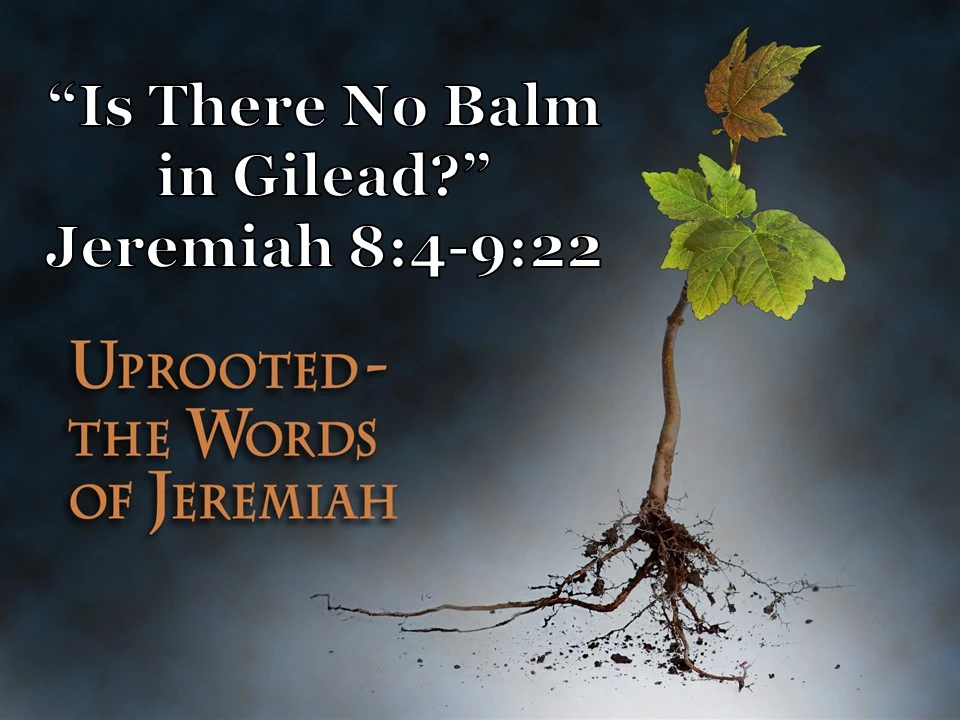 jeremiah 8